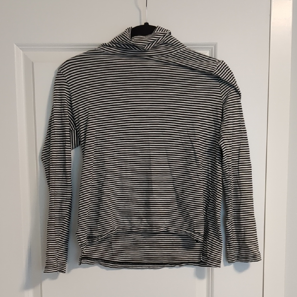 Madewell Black and White Striped Turtleneck Sweater